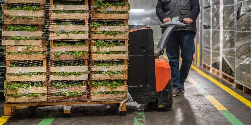 A photo of someone moving containers of lettuce in a warehouse. 