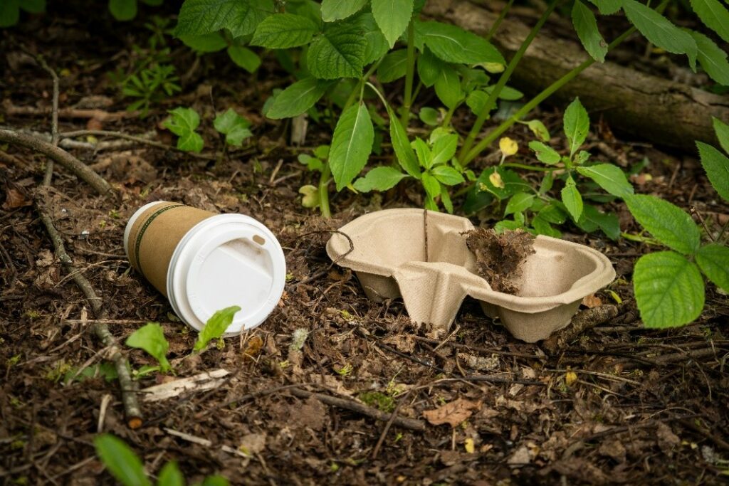 Biodegradable cup and cup holder.